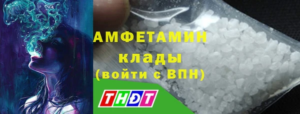 сатива Алзамай