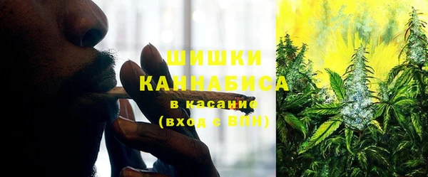 сатива Алзамай