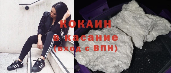 сатива Алзамай