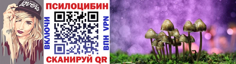купить наркоту  Артёмовск  Псилоцибиновые грибы Magic Shrooms 